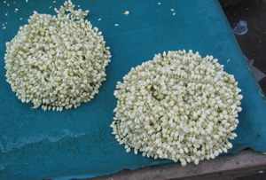 long lengths of garlands