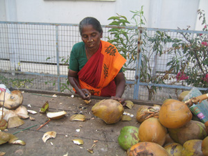 coconut vendor