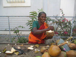  coconut juice ready