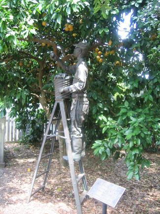 A scupture of a man picking oranges in the Orange Grove