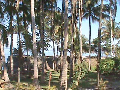A view from the grounds of the resort
